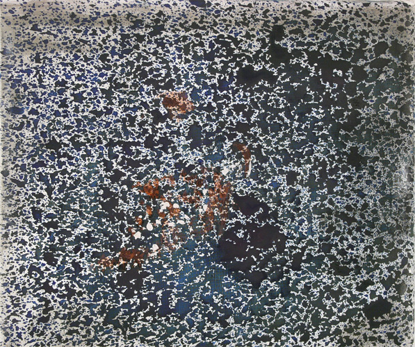 sepia,-2008,-25-x-30-cm,-konijnen-lijm,-sepia-poeder,-inkt